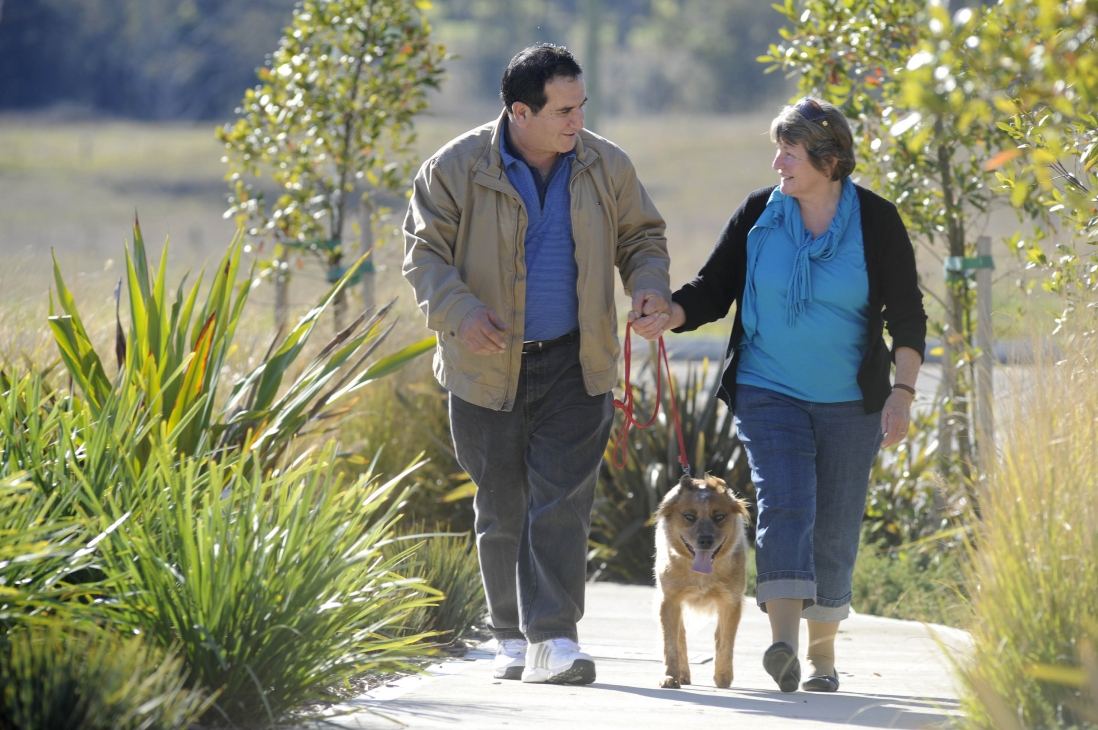 Pathways in Gregory Hills