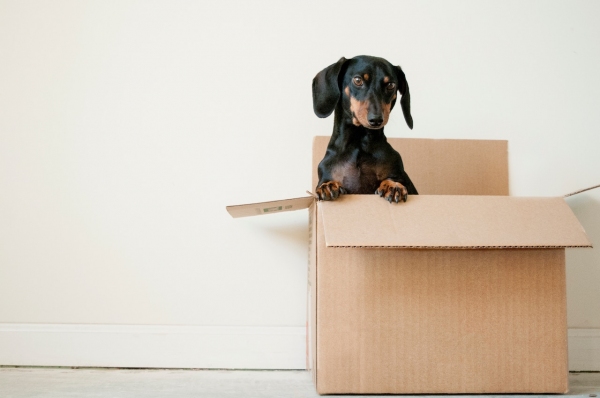 Moving house checklist: 12 tips for moving day success