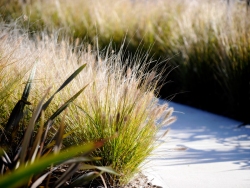 Gregory Hills scenery 6