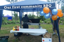 bbq news